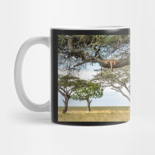 Serengeti Lion, African Wildlife Photography Mug